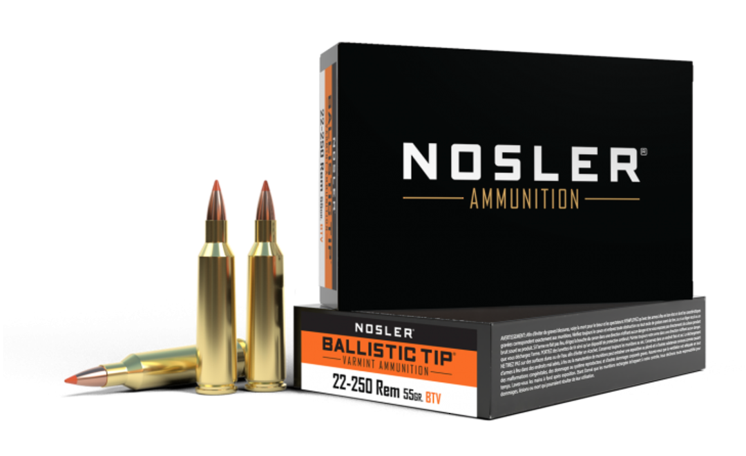 Nosler Ammunition 22-250 Rem 55gr Nosler Ballistic Tip (x20) image 0